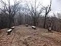 武川岳山頂