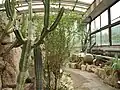 カクタス室