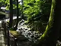 永平寺の横を流れる渓流