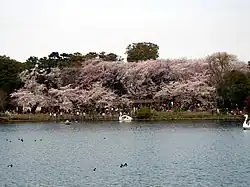洗足池