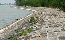 洪沢湖堤