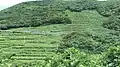 海道八景No.2 谷山展望所から見る段々畑