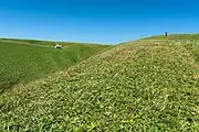涙岬の丘