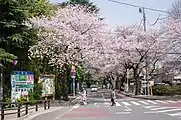 公園外周