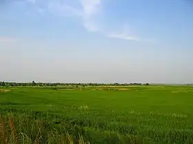 渡良瀬遊水地