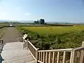 渤海中京城遺全景