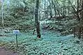 中山屋敷跡