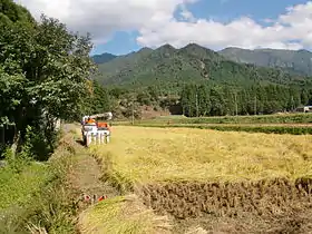 湯舟山と標高300mの魚沼コシヒカリ栽培地