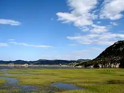 海峰湿地