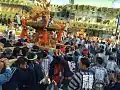瀬田玉川神社例大祭 神輿渡御 2014年