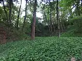 片倉城跡公園空堀