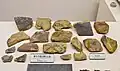 夾紵棺残片（国の重要文化財）奈良県立橿原考古学研究所附属博物館展示。