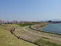 北堤の桜