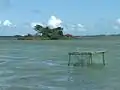 猫島