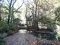 猿渡の池