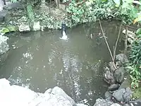 子宝池