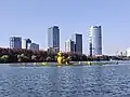 イエローダック
