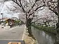 玉串川(高井公園付近)