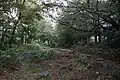玉川上水永泉寺緑地