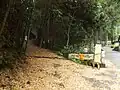 車道の分岐