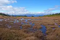 田代山湿原からの会津駒ヶ岳