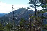 田代山避難小屋裏から見た帝釈山