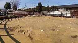 旧石器時代建物遺構の原寸復元模型、南側より（史跡田名向原遺跡公園）