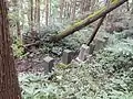 大澤山闐信寺疋田氏墓所