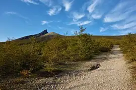登山道からの北海道駒ケ岳