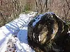 登山道脇の巨石