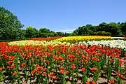百合が原公園（2013年7月）