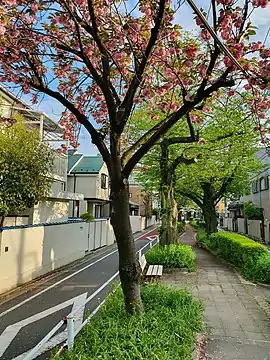柿の木坂の街並み