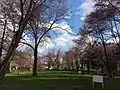 公園内、南東部