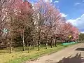 公園西側