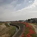 矢勝川の蛇行と堤防（2011年11月）