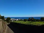 石垣山へと続くミカン畑