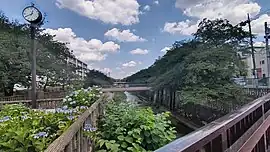 南田中団地近くを流れる石神井川(山下橋から下流方面)