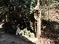 塞の神祭りに際しての祝詞の奏上