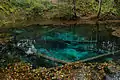神の子池の湖面