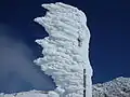 厚く発達した樹氷(安達太良山)