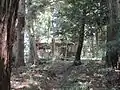 山中の福成神社