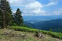 稜線の分岐点から朝日村の眺め