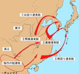 稲作の伝来