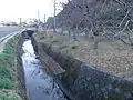立梅用水