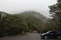第一駐車場の篠山登山口