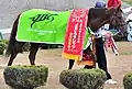 2014年優勝馬コパノリッキー