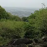 展望台からの風景