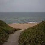 箱石浜