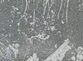 1957年12月22日に発生した米軍機墜落の様子1957年12月23日付高知新聞より