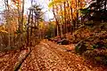 紅桜公園（札幌市）